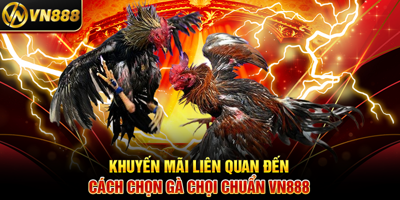 Khuyến Mãi Liên Quan Đến Các Loại Kèo Đá Gà Hot VN888