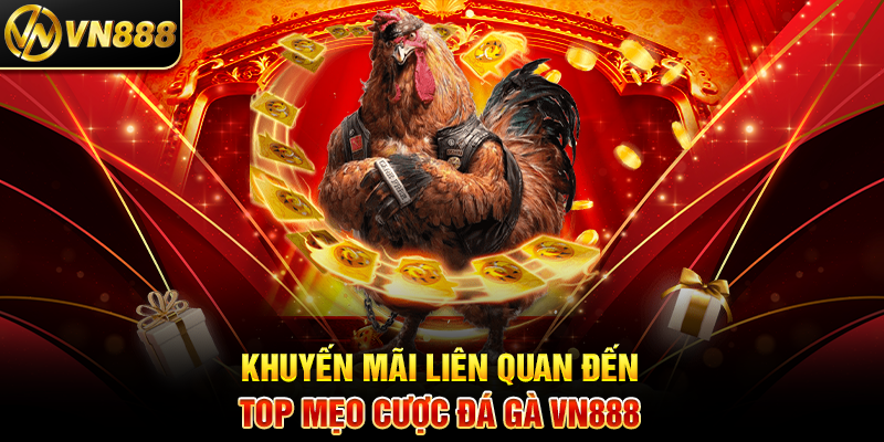 Mẹo Cược Đá Gà VN888 Bí Quyết Tăng Tỷ Lệ Thắng Lớn Khuyến Mãi Liên Quan Đến Top Mẹo Cược Đá Gà VN888