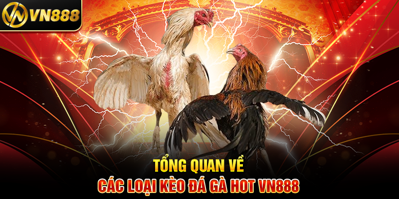 Tổng Quan Về Cách Chọn Gà Chọi Chuẩn VN888