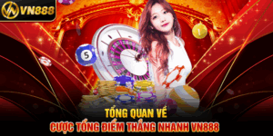 Tổng Quan Về Cược Tổng Điểm Thắng Nhanh VN888 