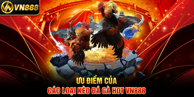 Ưu Điểm Của Cách Chọn Gà Chọi Chuẩn VN888