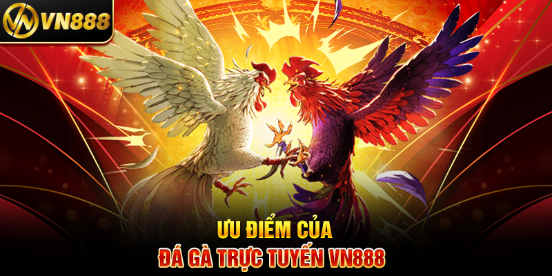 Đá Gà Trực Tuyến VN888: Sân Chơi Cá Cược Đỉnh Cao Mọi Lúc Ưu Điểm Của Đá Gà Trực Tuyến VN888